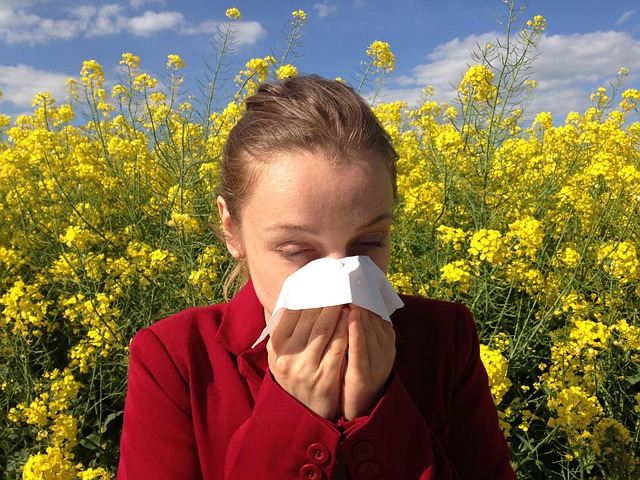 Wiosna – zmora alergików
