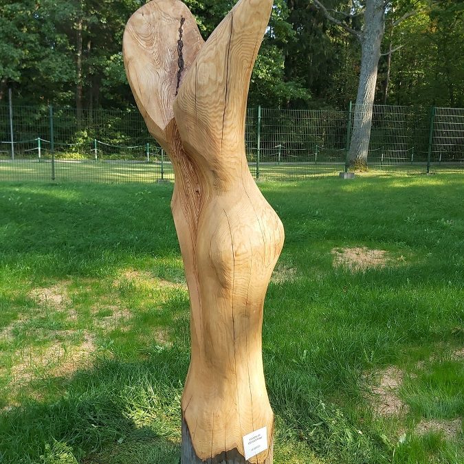 Plenerowa rzeźba w drewnie – Hajnówka 2020